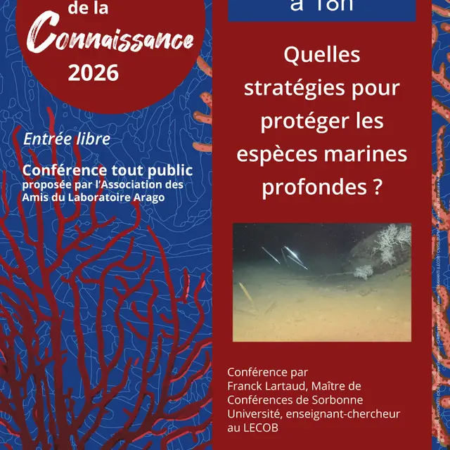 Affiche-LARTAUD_210126