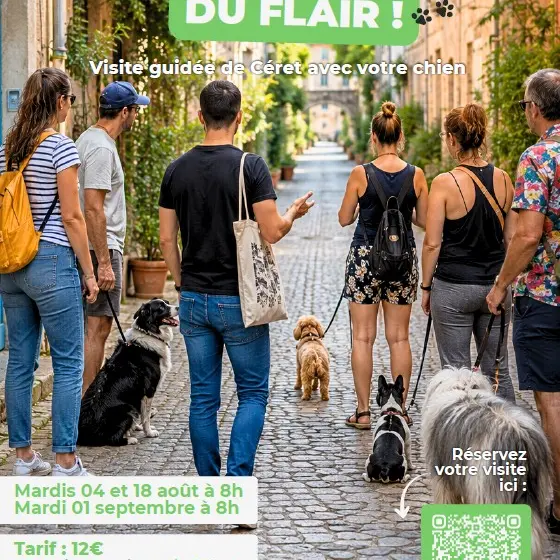 Affiche Visites Guidées Toutou