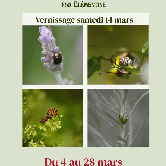 Affiche exposition Clémentine Leuthreau - 1