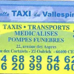 Allo-taxi-du-Vallespir
