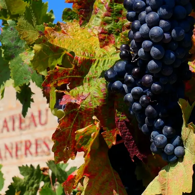 Aspres St Jean Lasseille Château Planères 1