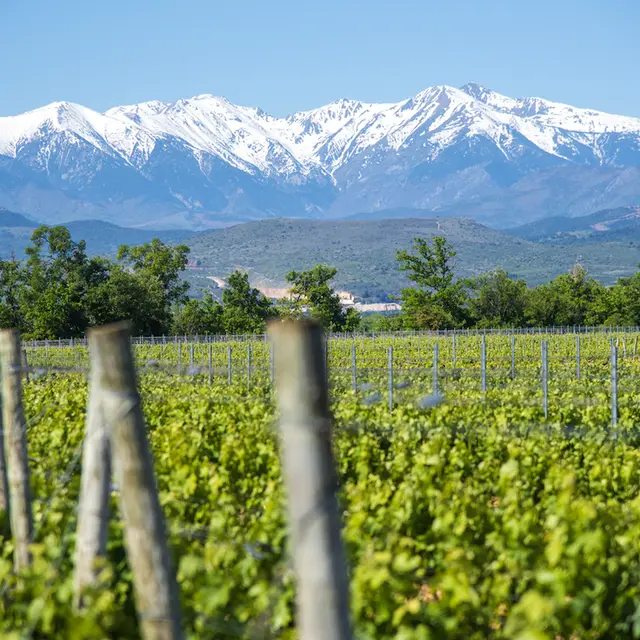 Aspres Thuir Château Lauriga 1
