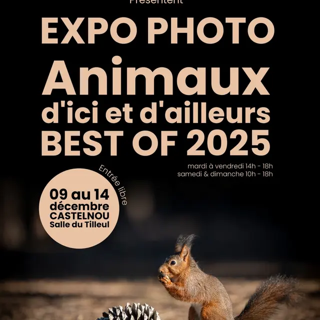 Aspres castelnou Affiche-A4-1920