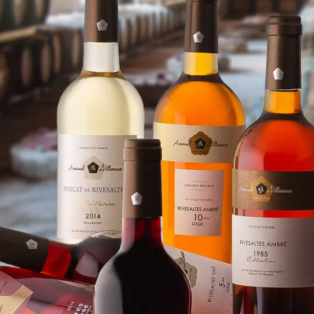 Arnaud de Villeneuve 1