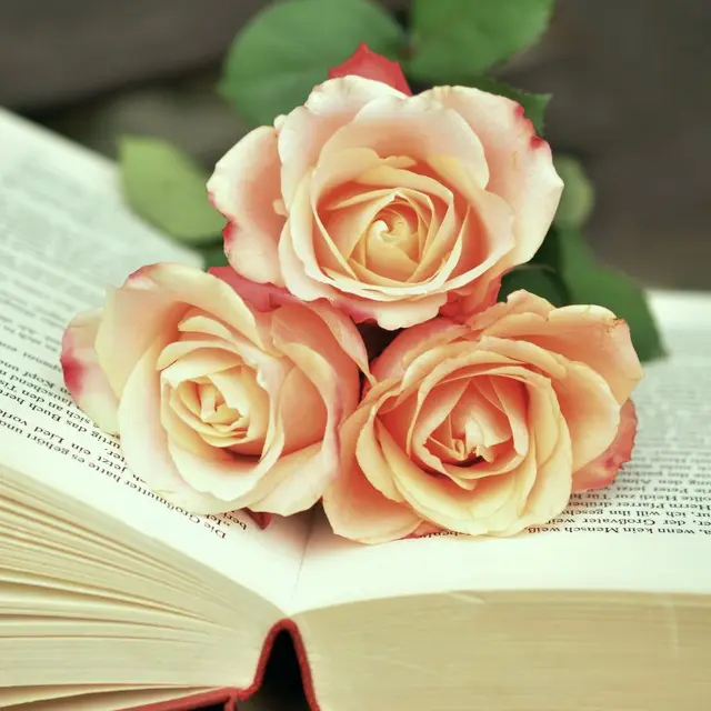 Atelier - Roses en papier