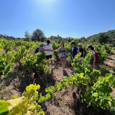 Balade dans vigne ©Pons-Gralet