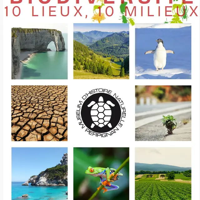 Biodiversité 10 lieux 10 milieux 25-26