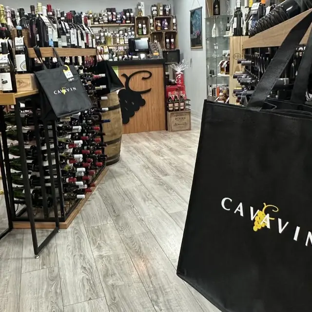CAVAVIN 1