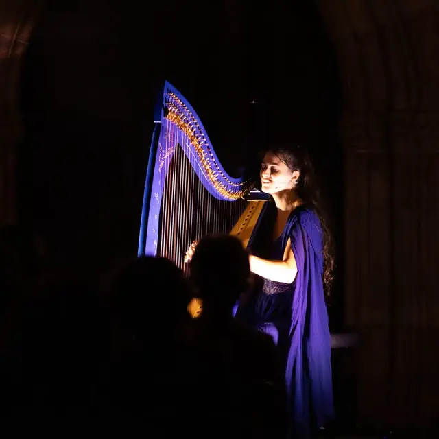 CONCERT HARPE ELNE