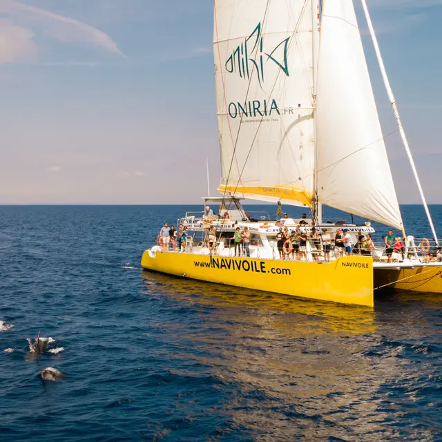 Activité de Pleine Nature - NAVIVOILE - port la nouvelle - Photo Herve Leclair aspheries