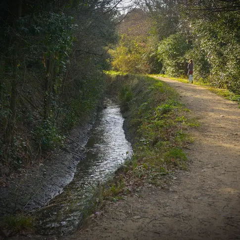 Cami Del Rec del Moli 1