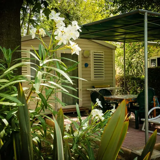 Camping catalan-Argeles sur Mer_1