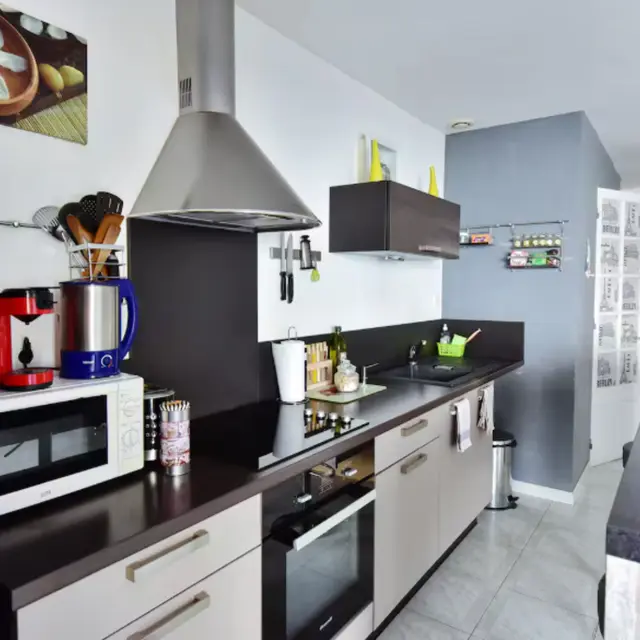 Saleilles HLO Fortuny