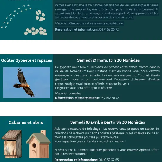 Capture d’écran 2026-02-19 123921