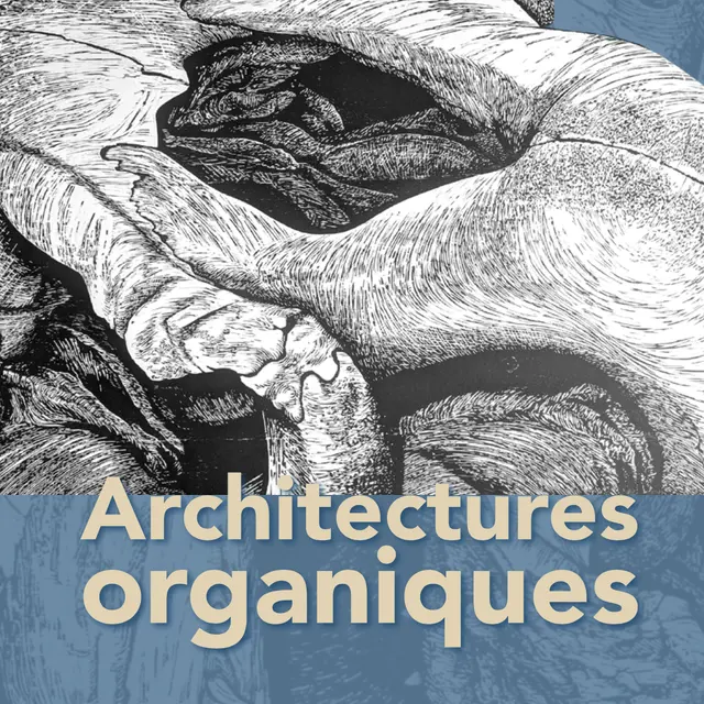 Architectes organiques