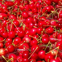Cerises