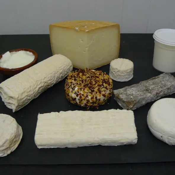 Chevriers de St Arnac 1