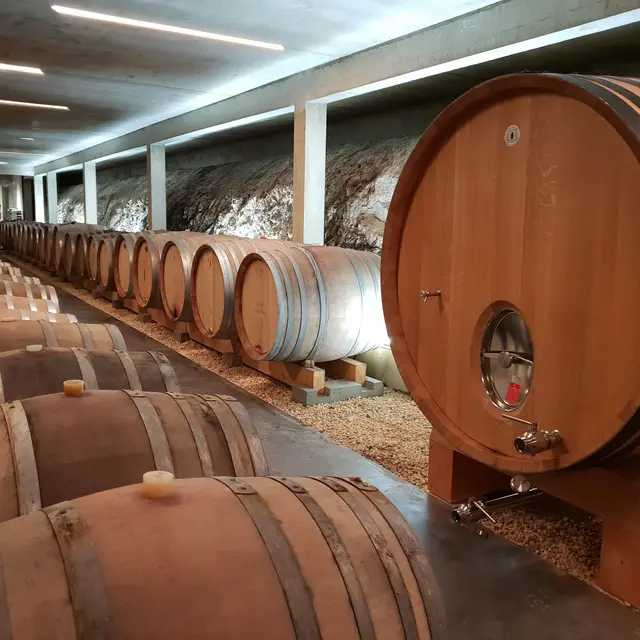 Copie de 20191216_131350