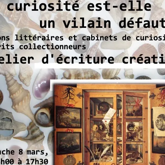 Curiosités - 8 mars 2026 - Perpignan - A4