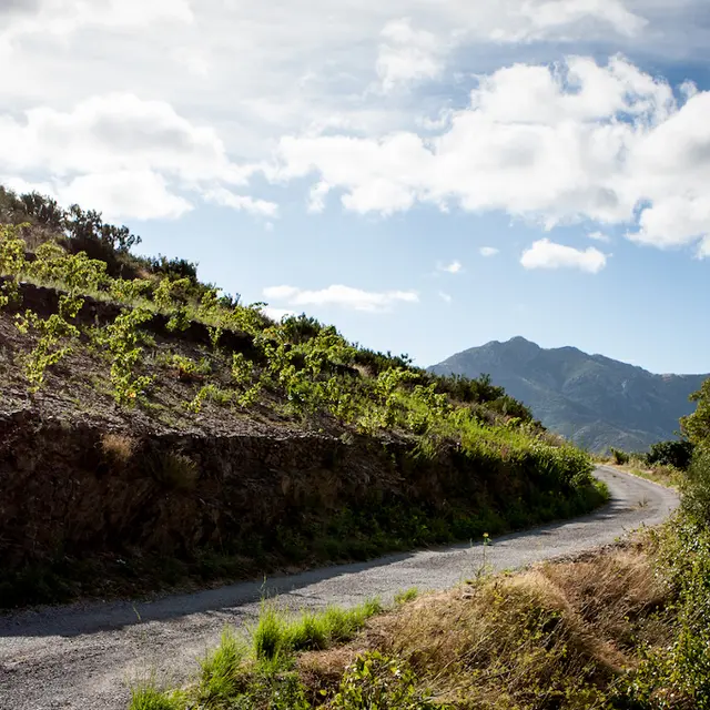 DOMAINE VIAL MAGNERES 5