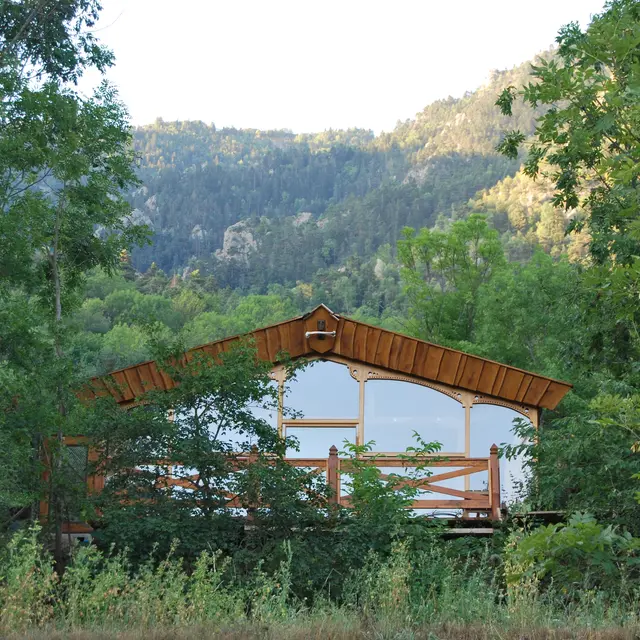 Nid d'amour en forêt