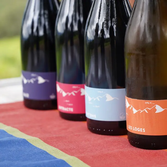 Domaine jaça - dégustation