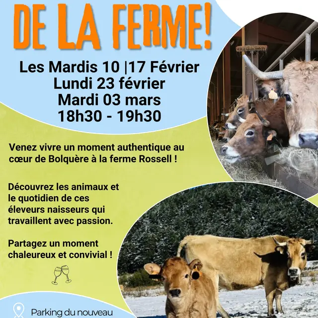 Découverte de la ferme! - 2