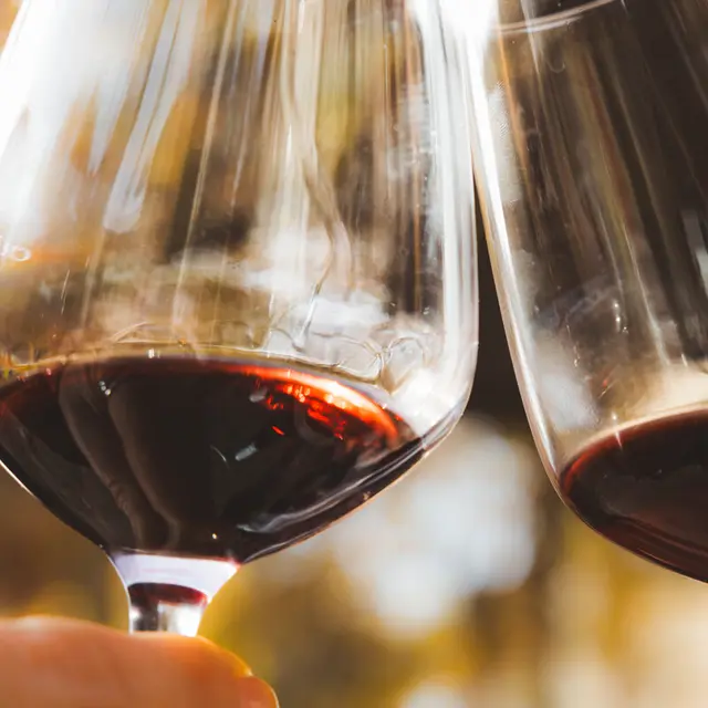 Degustation_Domaine_de_Villeclare-Hugo_Pages-22052-1200px