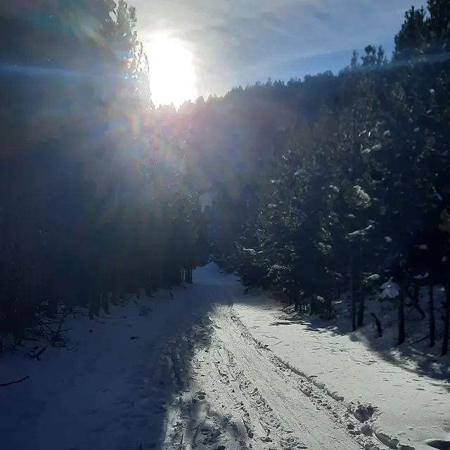 Départ en foret au dessus du village - format carré