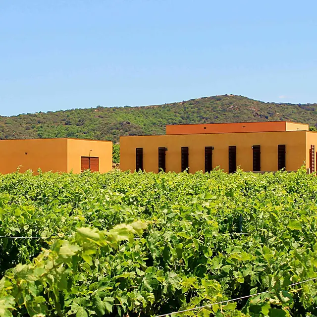 Domaine Deveza 1