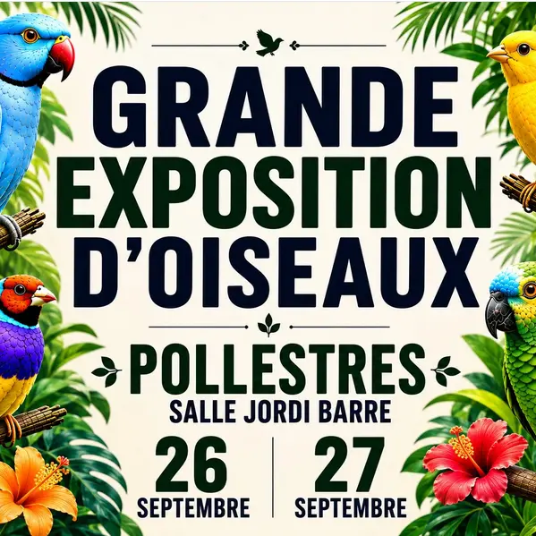 EXPOSITION D'oiseaux