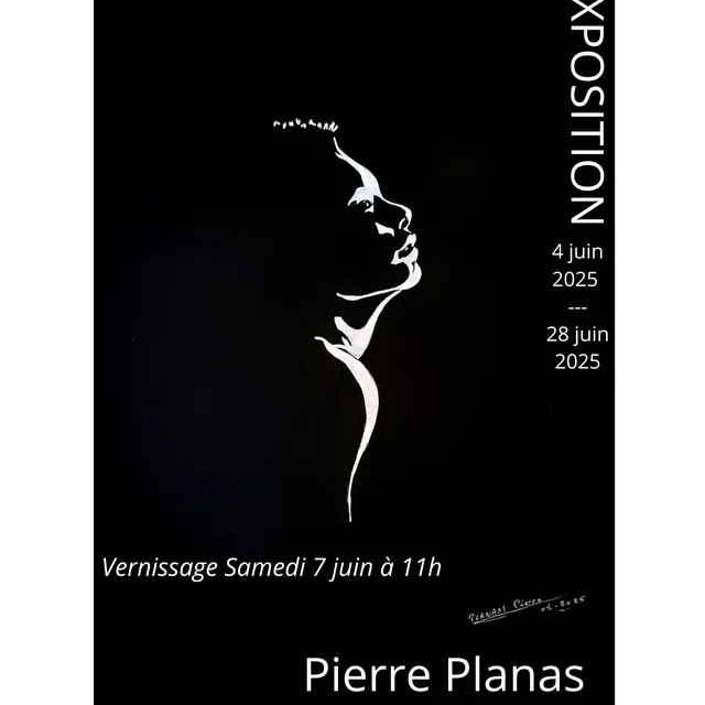 Exposition Pierre Planas