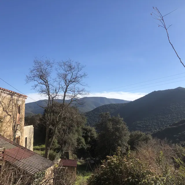 FEILLUNS M.PELLETIER