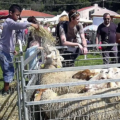 FOIRE AUXX CHEVREAUX