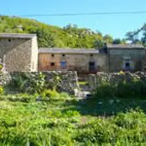 Ferme équestre du Mas Franc