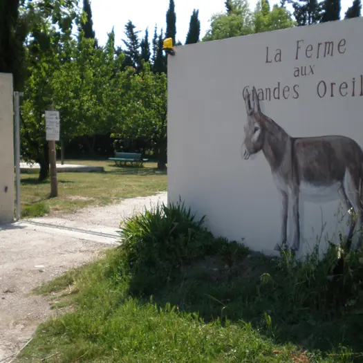 TORREILLES LOI FERME AUX GRANDES OREILLES