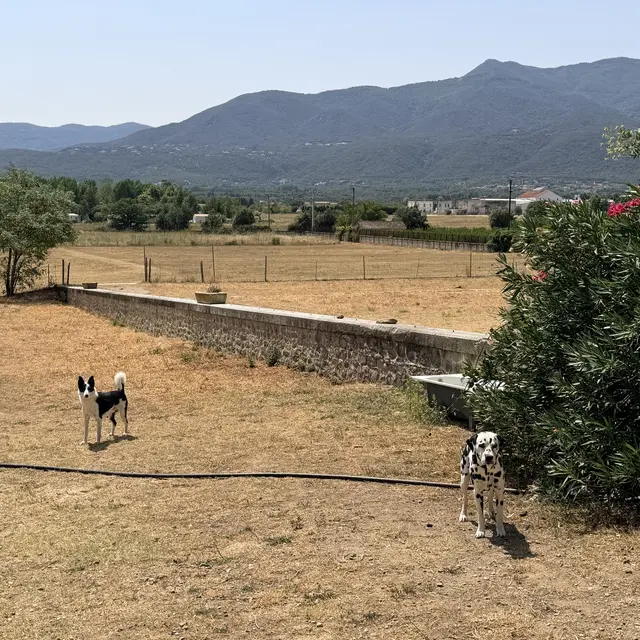 Garderie canine Sonia Françoise
