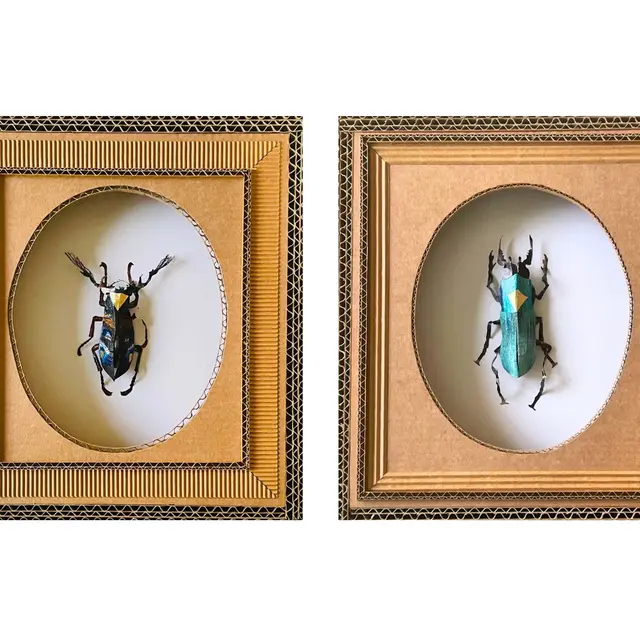 exposition « Les insectes » d’Hélène Lacquement