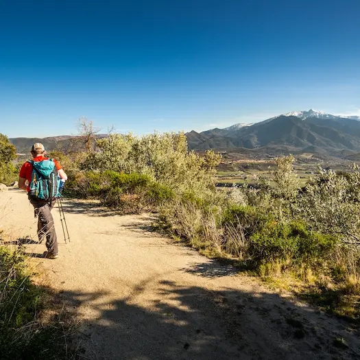 Marquixanes Arboussols