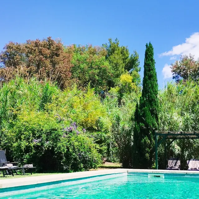 IMG_20240603_130612 (1)