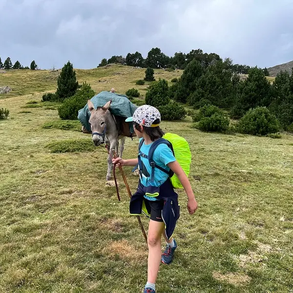 Les ânes du Tres Estelles