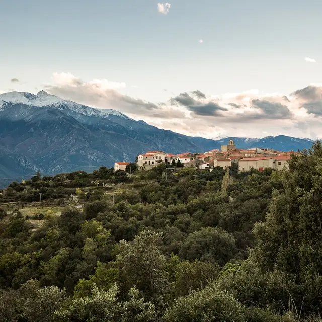 JCMILHET_montalba_le_chateau