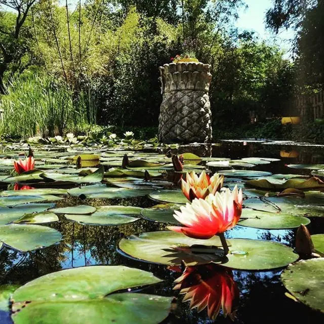 Jardin Exotique de Ponteilla (6) (002)
