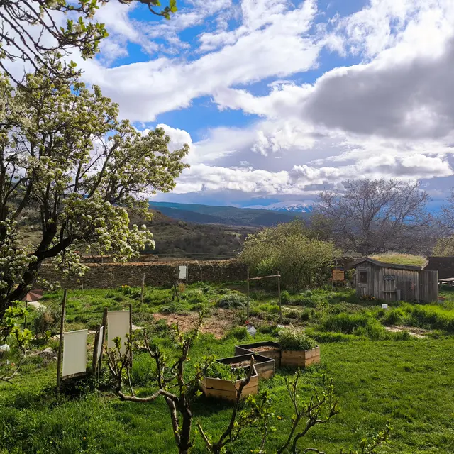 Jardin printemps MDC