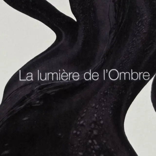 La Lumière de l'Ombre-Visuel