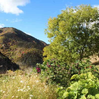 La Solana à Mantet (1)