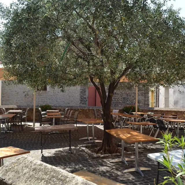 Le-Square-terrasse-ille-sur-tet-web