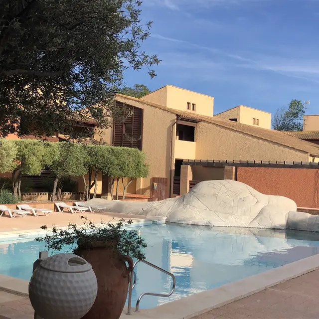 M. VALEMBOIS piscine