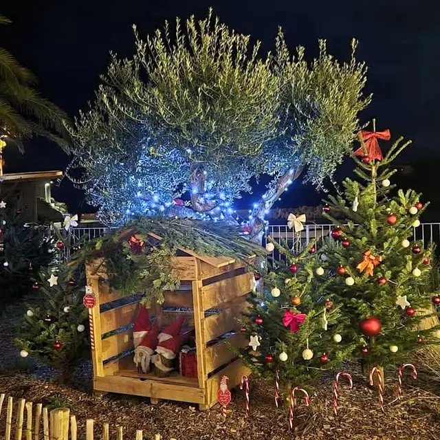 MARCHE DE NOEL CERBERE