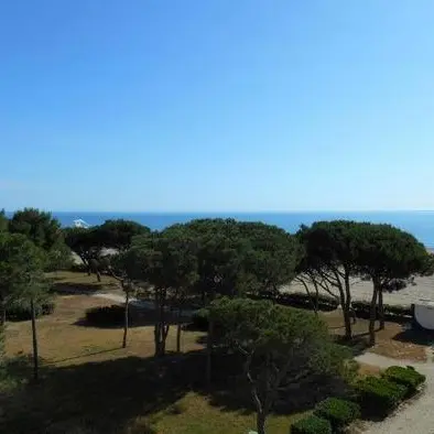 MASSANE 1